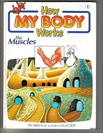 How My Body Works The Muscles